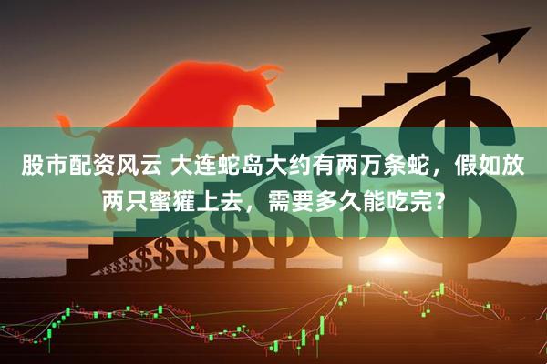 股市配资风云 大连蛇岛大约有两万条蛇，假如放两只蜜獾上去，需要多久能吃完？