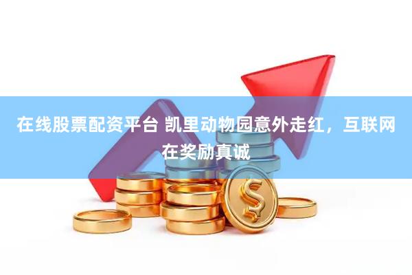 在线股票配资平台 凯里动物园意外走红，互联网在奖励真诚
