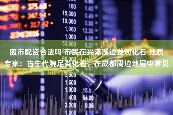 股市配资合法吗 市民在兴隆湖边发现化石 地质专家：古生代腕足类化石，在成都周边地层中常见
