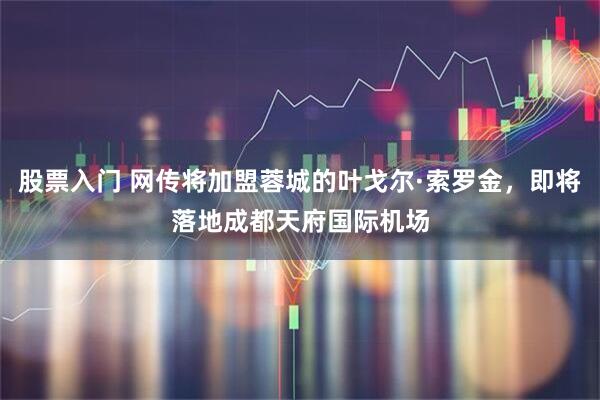 股票入门 网传将加盟蓉城的叶戈尔·索罗金，即将落地成都天府国际机场