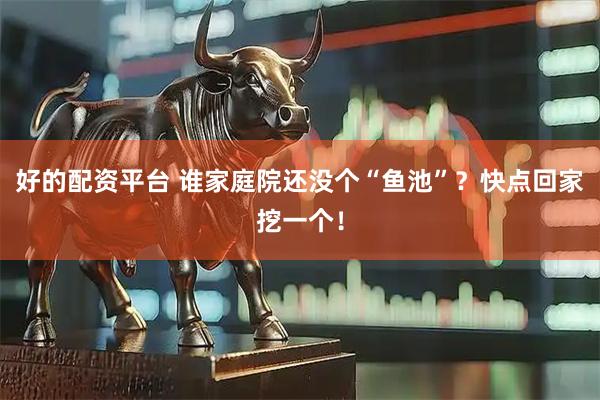 好的配资平台 谁家庭院还没个“鱼池”？快点回家挖一个！